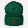 cuffed-beanie-spruce-front-6a33022743909.jpg PRDTR Beanie