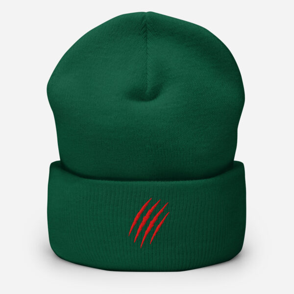cuffed-beanie-spruce-front-6a33022743909.jpg PRDTR Beanie